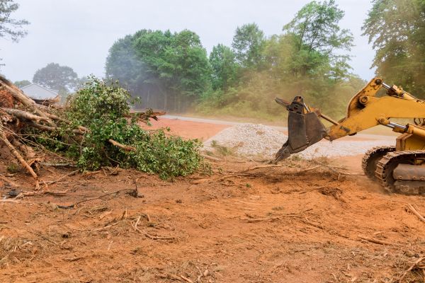 Ground Clearing in Cheyenne