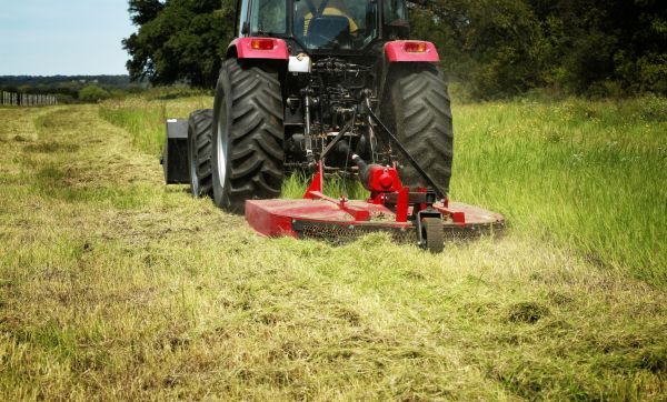 Brush Clearing Service in Cheyenne