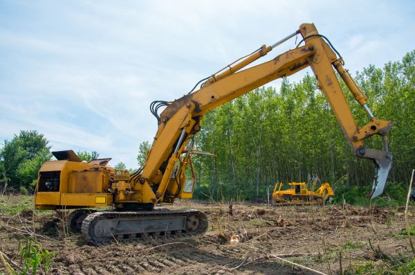 Farm Clearing in Cheyenne