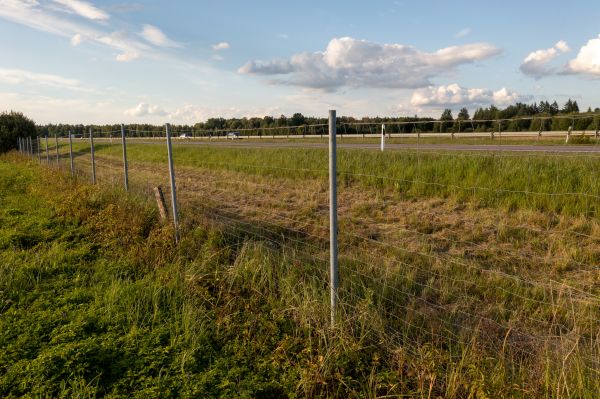 Property Line Clearing in Cheyenne